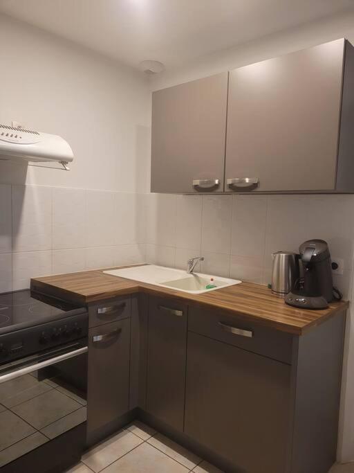 Appartement Sur La Place De Poncin Bagian luar foto