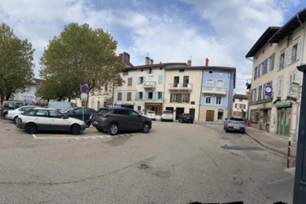 Appartement Sur La Place De Poncin Bagian luar foto